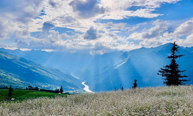 Thảo nguyên Suôi Thầu - Thụy Sĩ thu nhỏ giữa lòng Hà Giang